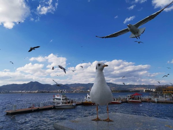 大鑫优配资讯 “袜都”“纺都”对决篮球，“浙BA”将成下一个“苏超”？