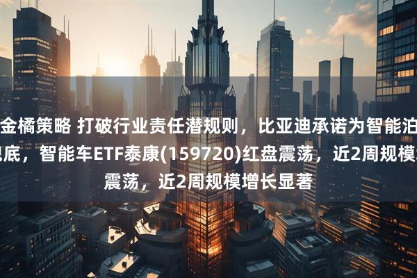 金橘策略 打破行业责任潜规则，比亚迪承诺为智能泊车全面兜底，智能车ETF泰康(159720)红盘震荡，近2周规模增长显著